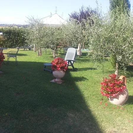 Gospodarstwo wiejskie Il Poggio Del Sole Montefalco