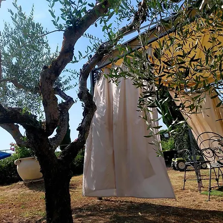 Il Poggio Del Sole Gospodarstwo wiejskie Montefalco