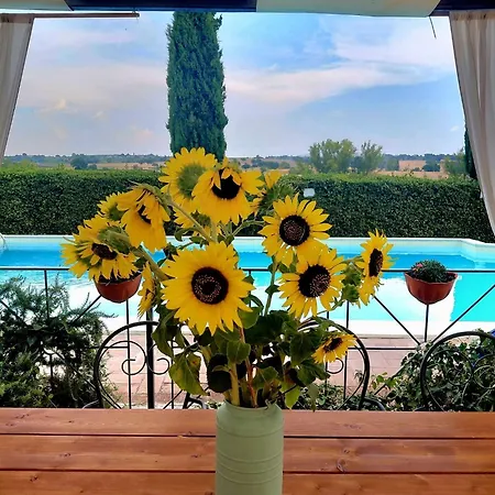 Il Poggio Del Sole * Montefalco