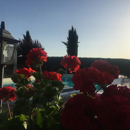 Gospodarstwo wiejskie Il Poggio Del Sole Montefalco